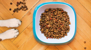 pet nutritional counseling dietary meal